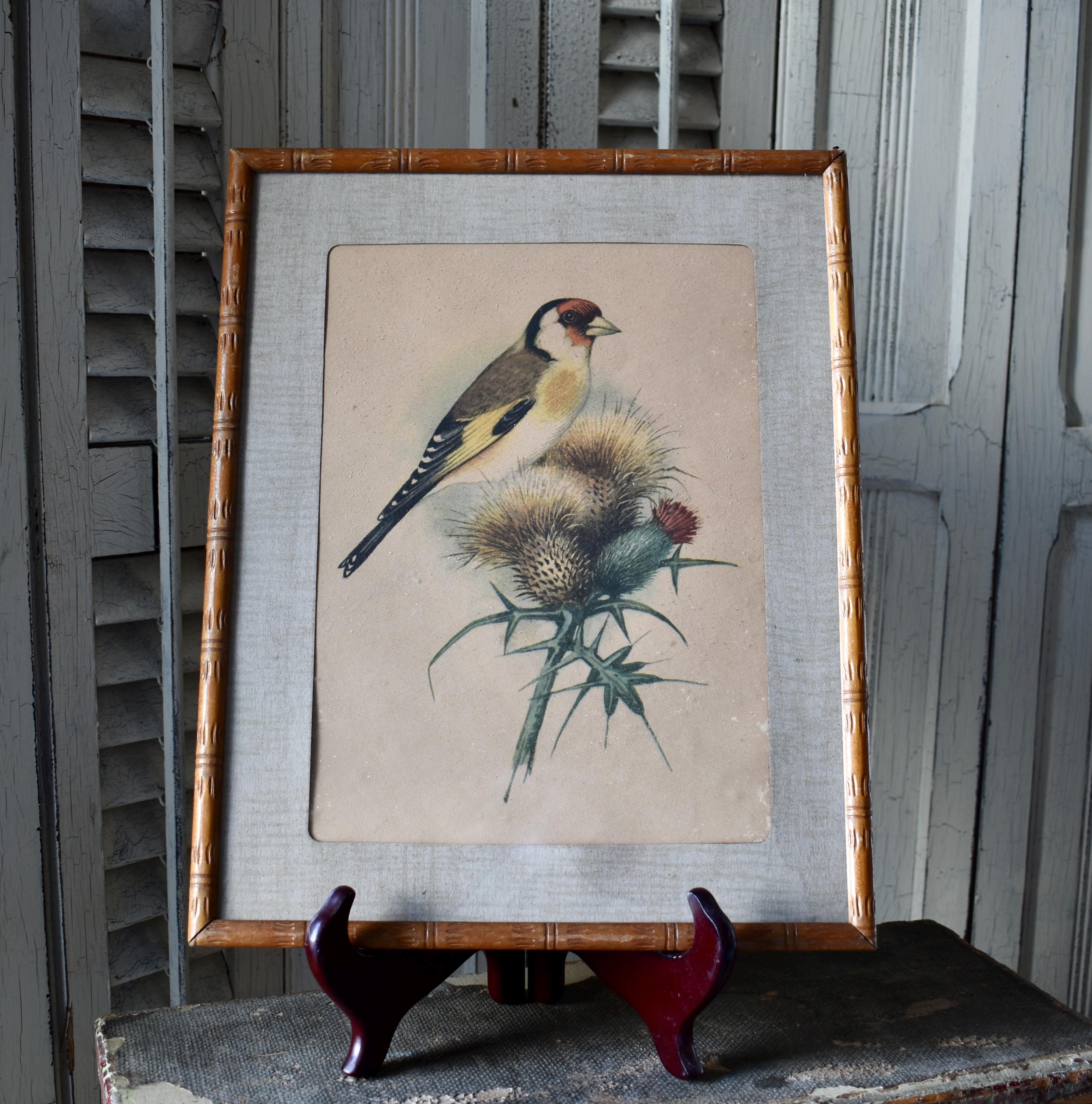 Lambert - Adam アダム・ランバート 日本 Etsy frame – UNSIGNED Art
