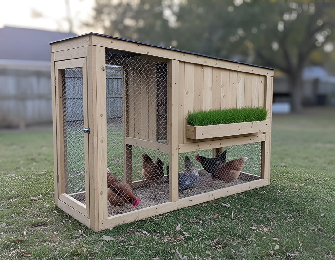 DIY Wood Outdoor Small Chicken Coop Build Plan: Backyard Poultry House ...