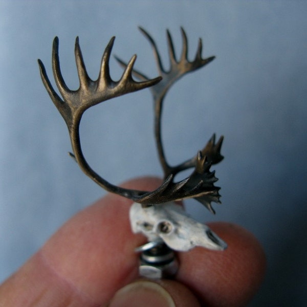 Caribou antlers and skull bronze