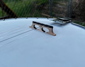 Seismic Bluegrass Standard