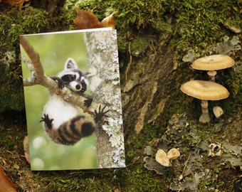 Raccoon greeting card, needle felted woodland animal, magical forest, realistic wildlife art , wool felting, nature