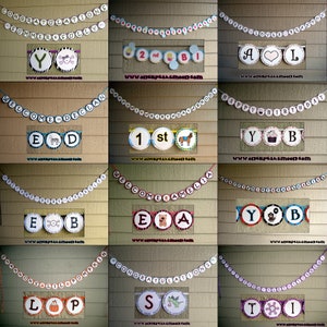 completely custom banner - you pick the design/letters (up to 25 circles) happy birthday, baby shower, holidays, etc.