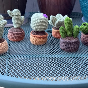 Crochet Cactus Set