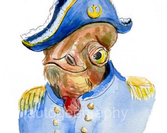 Almirante Ackbar En Varios tamaños uniformes