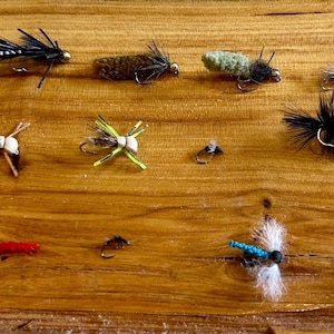 May include: A collection of twelve artificial fishing flies arranged in rows. The assortment includes various designs featuring black, brown, green, red, and blue synthetic fibers, feathers, and metal hooks, showcasing diverse textures and shapes.