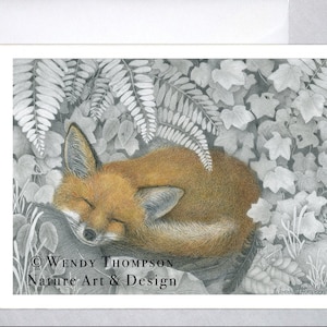 Renard endormi dans les fougères - Carte de correspondance vierge - Graphite avec crayon de couleur - Renard dans les fougères - Design original, art animalier et nature