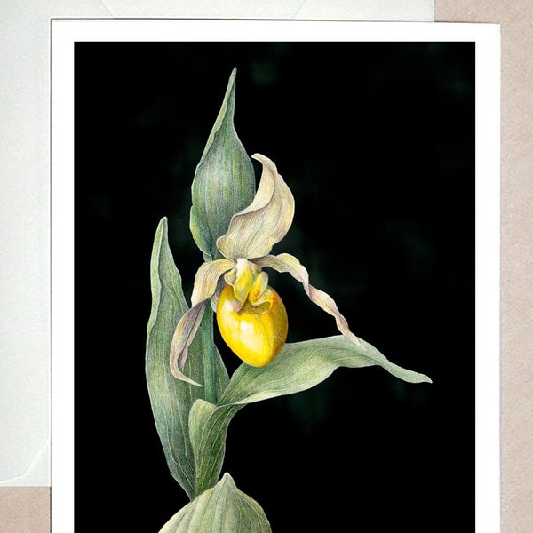 Yellow Lady Slipper ~ Wildflower botanical, original design woodland beauty. Suitable for sympathy or grieving.