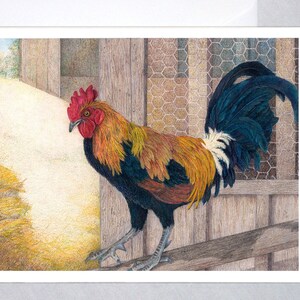 Gallo del nonno - Biglietti di auguri vuoti - Pollo Araucana, disegno originale a matita colorata, animali da fattoria arte della natura