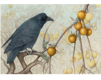 AUTUMN RAVEN ~ "The Apple Branch" - Raven in wild apple tree, original pencil drawing, Nature art, home decor