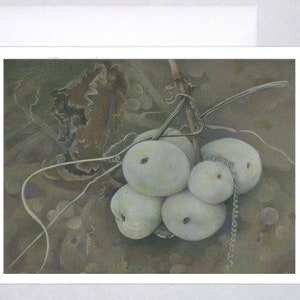 Autunno impigliato ~ Snowberries e vite selvatica.
