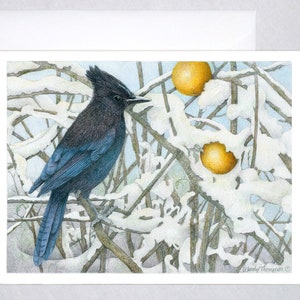 Steller&#39;s Jay with golden apples in winter snow- corvid art nature design
