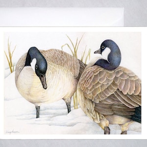 Die Damen ~ Kanadagänse aus Korbt Slough Wildlife Refuge, Oregon ~ Original Design Notizkarte.