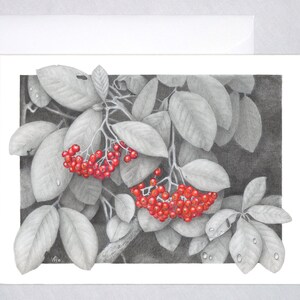 Waxwings&#39; Picnic - Original design, graphite pencil with charcoal and colored pencil