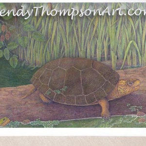 "Western Sumpfschildkröte ""She Who Basks Alone"" - Originaldesign, Naturteichkunst, wild lebende Tiere, natürlicher Lebensraum oregonische Sumpfschildkröte."