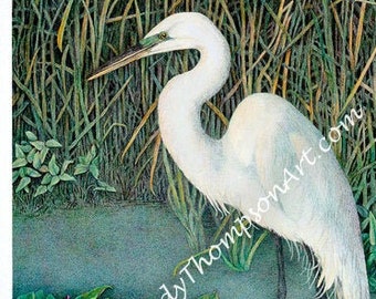 Egret Art Note Card – Original Colored Pencil Painting