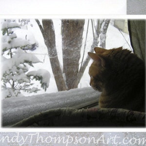 Ginger Boy Tucker in Winter - Foto van mijn kat met speciale behoeften, blanco notitiekaart, vogels kijken binnenshuis, oranje gemberkat