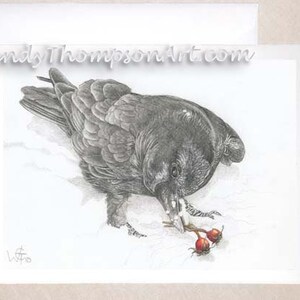 Cuervos, escaramujos y nieve - Diseño original Tarjetas de notas de arte de cuervo, arte córvido, plumas de cuervo capricho, escaramujos en invierno grafito