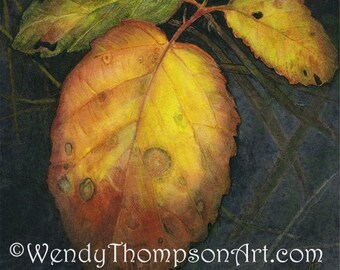 Blackberry Autumn - Gorgeous Fall colors on blank note card