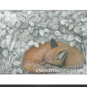 Fox in the Briers Print, Colored Pencil Drawing, Nature Art