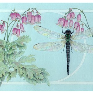 Botanical Art card ~ Dicentra & Dragonflies