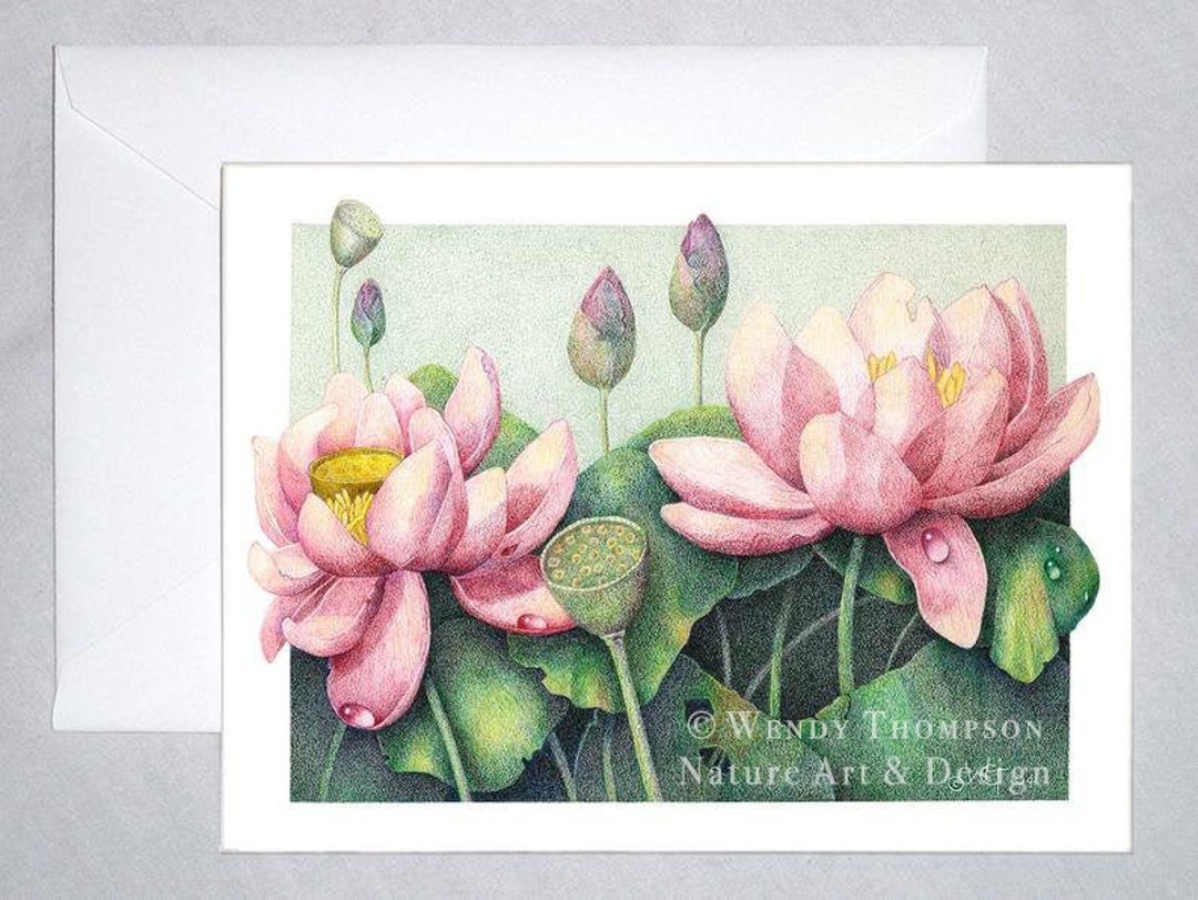 Pink Lotus - Water Lily Pond Nature Art Design, Koi Pond Art, Blank ...