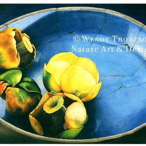 May include: A blue ceramic bowl with cracks, containing four yellow and green flower buds. The bowl has a silver rim and the text "WENDY THOMPSON Nature Art & Design" is visible in the upper right corner.