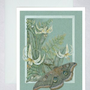 Papillon polyphémus avec lys fauves et fougères. Cartes de correspondance de style botanique - entomologie, botanique, fleurs sauvages. Conception verticale