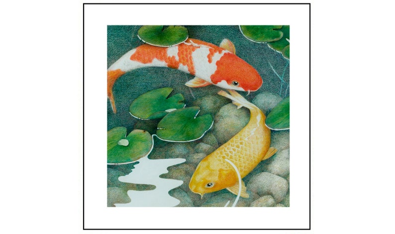 May include: Two koi fish swimming in a pond. One is orange and white, the other is yellow. They are surrounded by green lily pads and rocks.