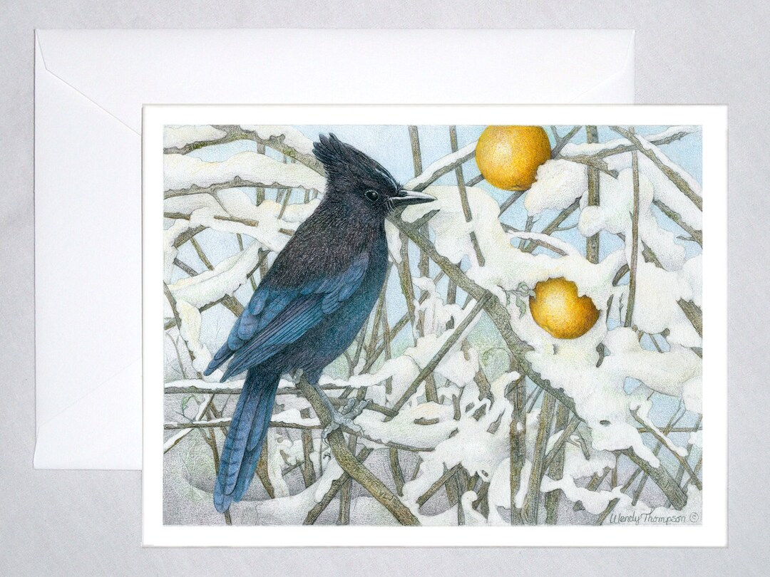 Steller's Jay With Golden Apples in Winter Snow Corvid - Etsy