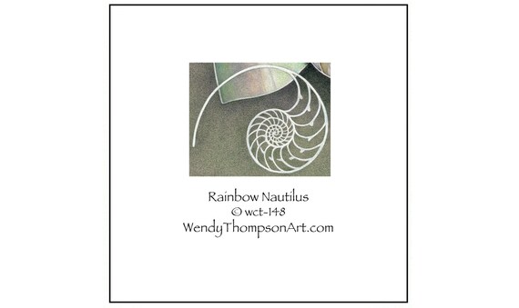 Rainbow Nautilus Dragonfly With Nautilus Shell Blank Note Etsy