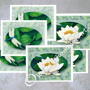 Cartes de correspondance art libellule - Lot de 6, trois de chaque modèle, nénuphar, demoiselle fly zen, muguet, dasher bleu libellule, entomologie
