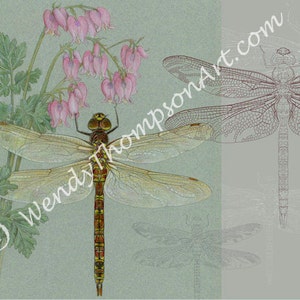 Biglietto per appunti vuoto con arte della libellula "...di cuori e ali" ~ Design originale, fiori selvatici, dicentra, cuore sanguinante selvaggio, entomologia, libellula