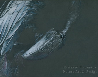 Raven Art Card, Bird Silhouette, Mated Pair