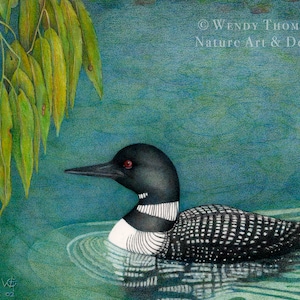 LOON WILLOW ~ arte de pássaro aquático - mergulhão-comum Cartão com envelope, desenho da natureza, arte de lago, salgueiro e folhas.