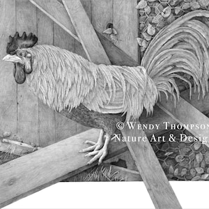 El gallo del abuelo - Tarjetas de notas en blanco - Lápiz de grafito - Diseño original, arte de la naturaleza y la vida salvaje