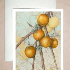 MANZANAS DEL CUERVO ~ Manzano silvestre, extracto de un dibujo original a lápiz de color. Arte de la naturaleza, decoración del hogar.