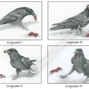 Grapeater Ravens - juego de cuatro tarjetas de notas - Diseño original de arte de córvidos, fantasía de plumas de cuervo, arte con lápiz de grafito, uvas de vino