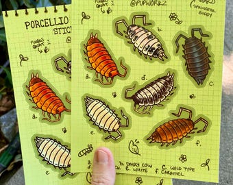 Roly Poly Hand Drawn Sticker Sheet -- Porcellio Laevis Morphs