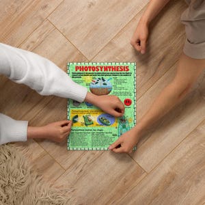 Rompecabezas de la fotosíntesis