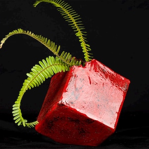 Peut inclure: Un vase cubique en céramique rouge vif brillant avec une surface irrégulière et texturée. Le vase est incliné et contient plusieurs frondes de fougère vertes sortant de l'ouverture supérieure sur un fond noir uni.