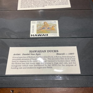 Vintage Waterfowl Stamp Collection