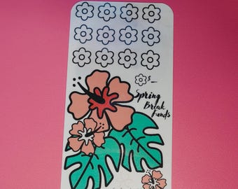 Spring break funds savings tracker