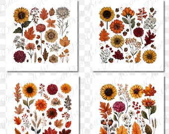 Boho Floral Fall PNG Clipart Set: Autumn Flowers, Leaves (Digital Download)