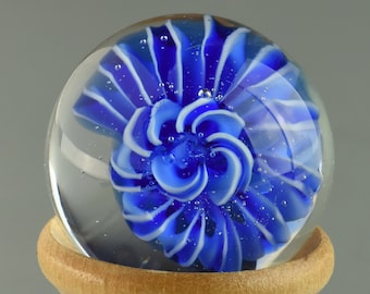 Marble - Flameworked Glass on Wooden Stand - Dark and Light Blue Spiral