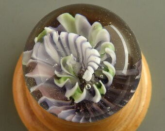 Marble - Flameworked Glass on Wooden Stand- White, Sage, Amethyst, and Purple "Spirobranchus" Spiral