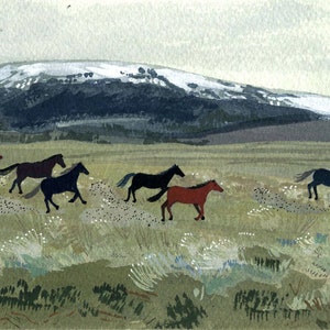 wild horses