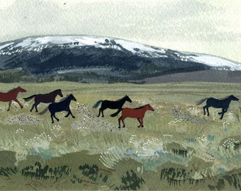 wild horses