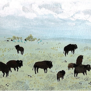 buffalo