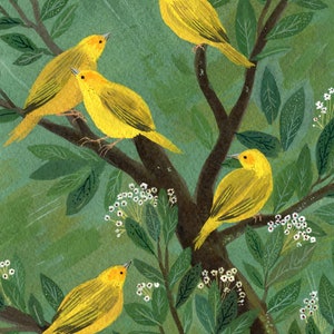 yellow finches