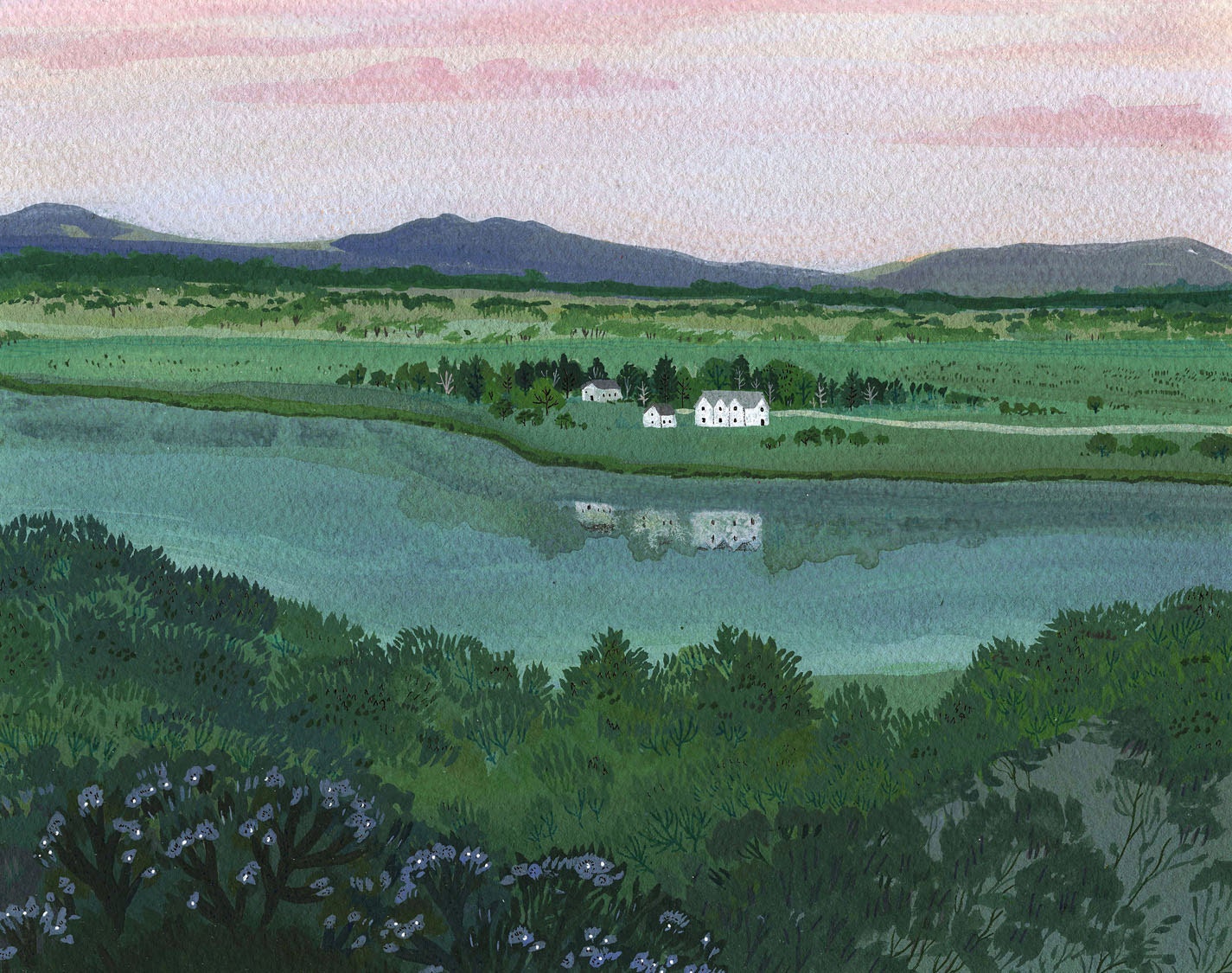 early morning landscape